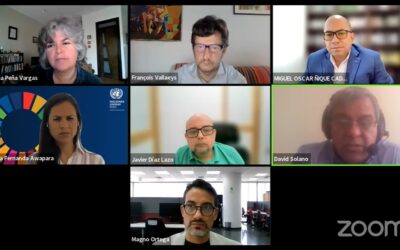 Resumen del Webinar URSULA – ONU Perú